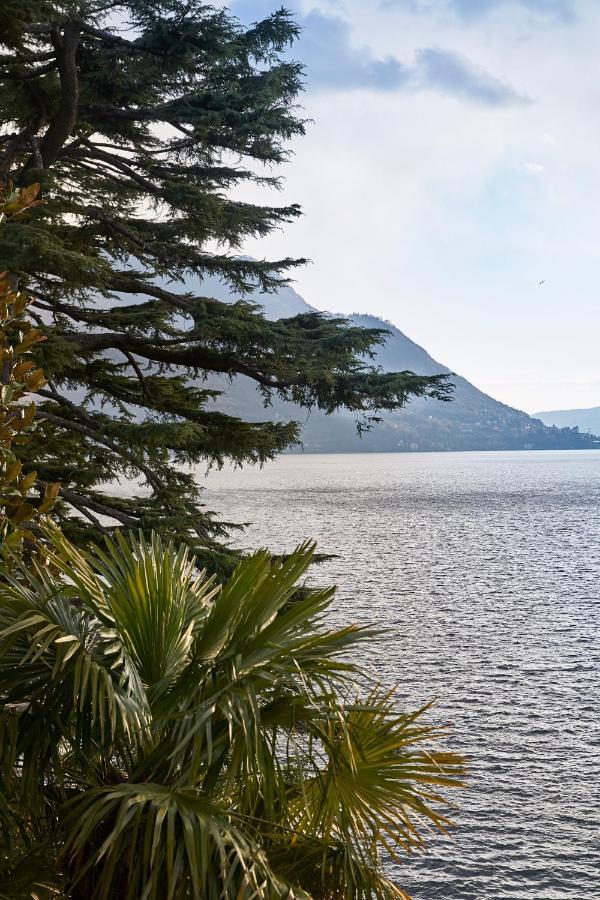 Villa Lario Lake Como Pognana Lario Екстер'єр фото